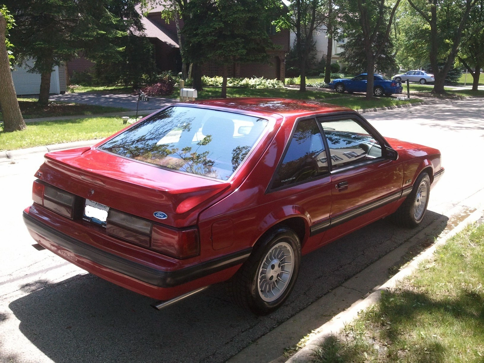 Mustang.webp