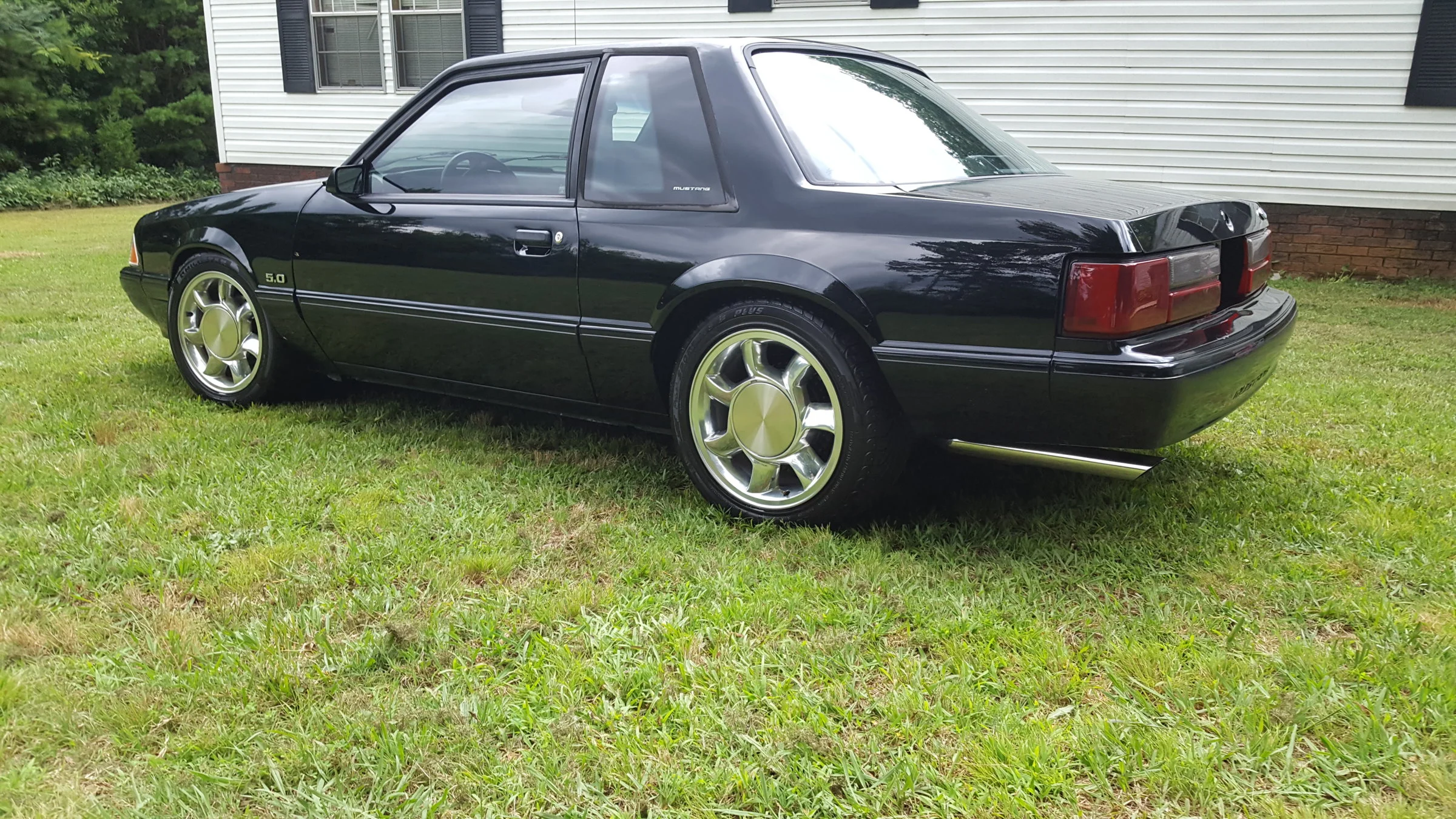 mustang.webp