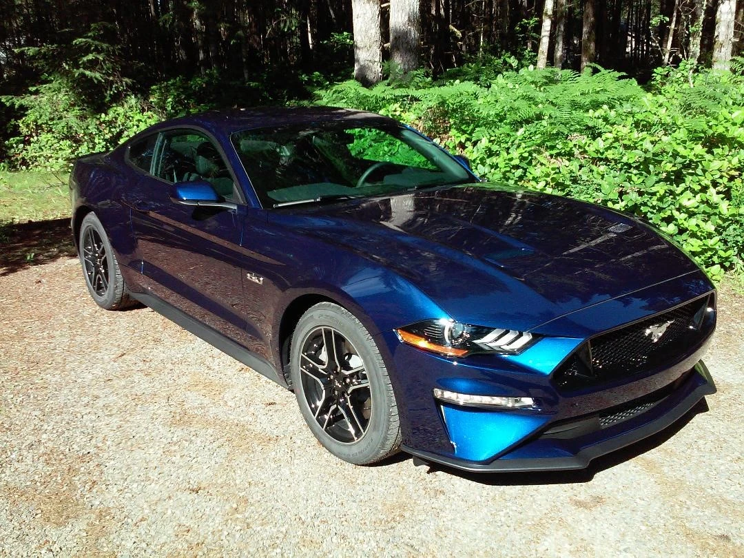 Mustang.webp