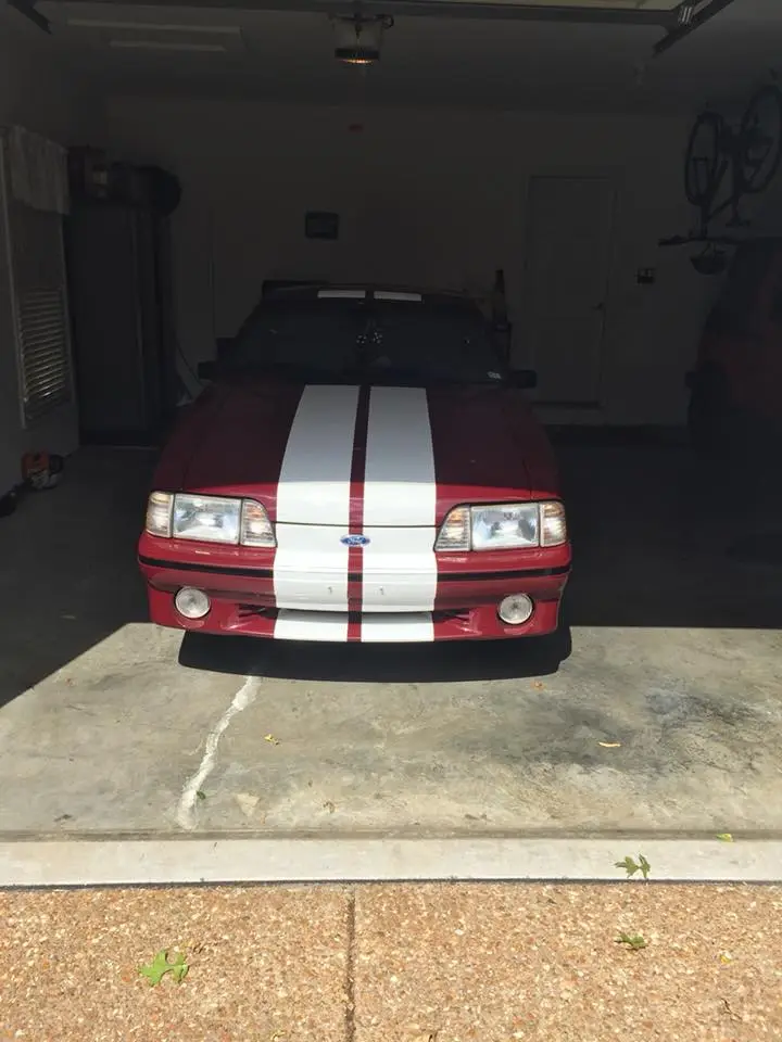 mustang.webp