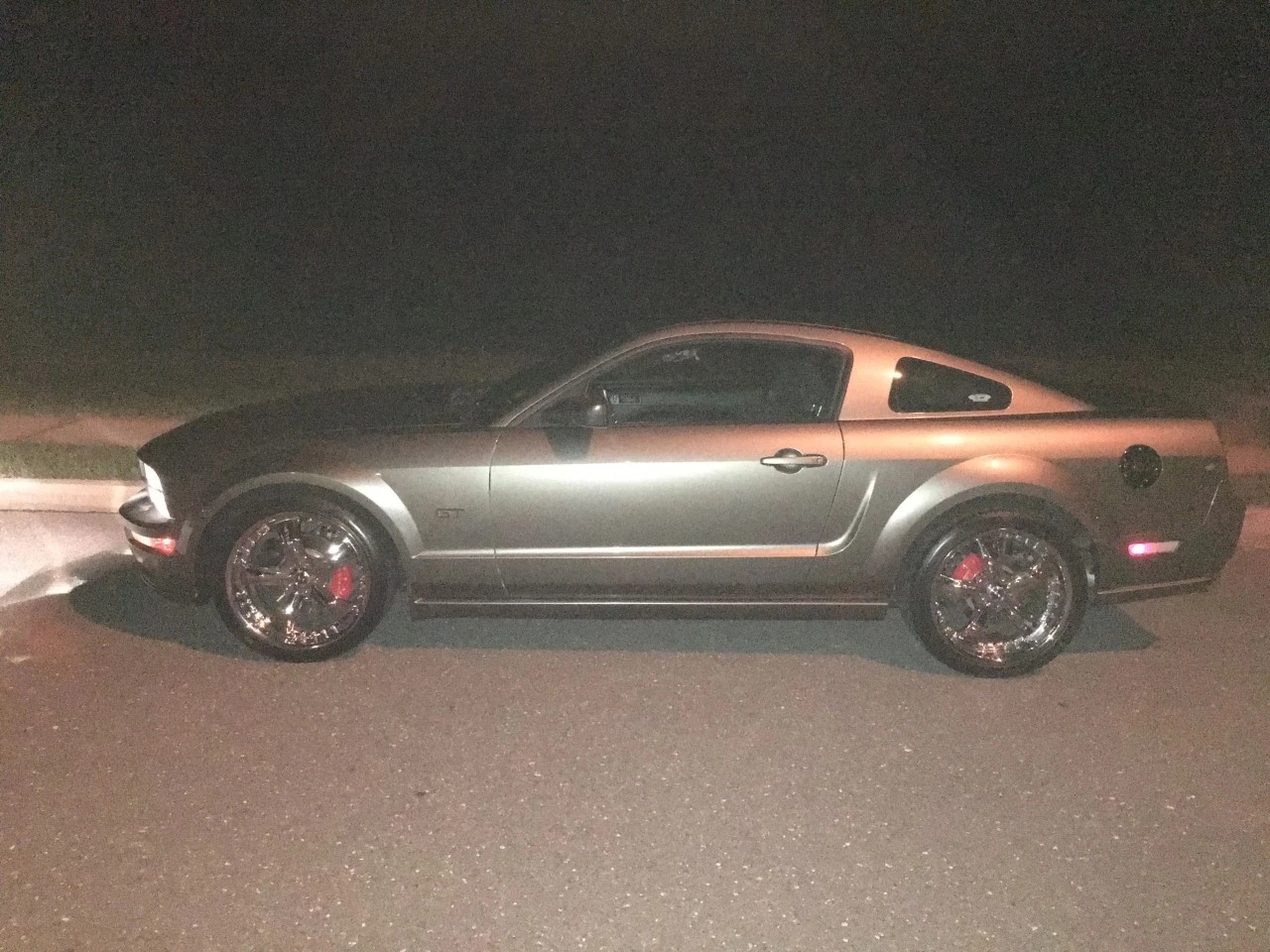 mustang.webp