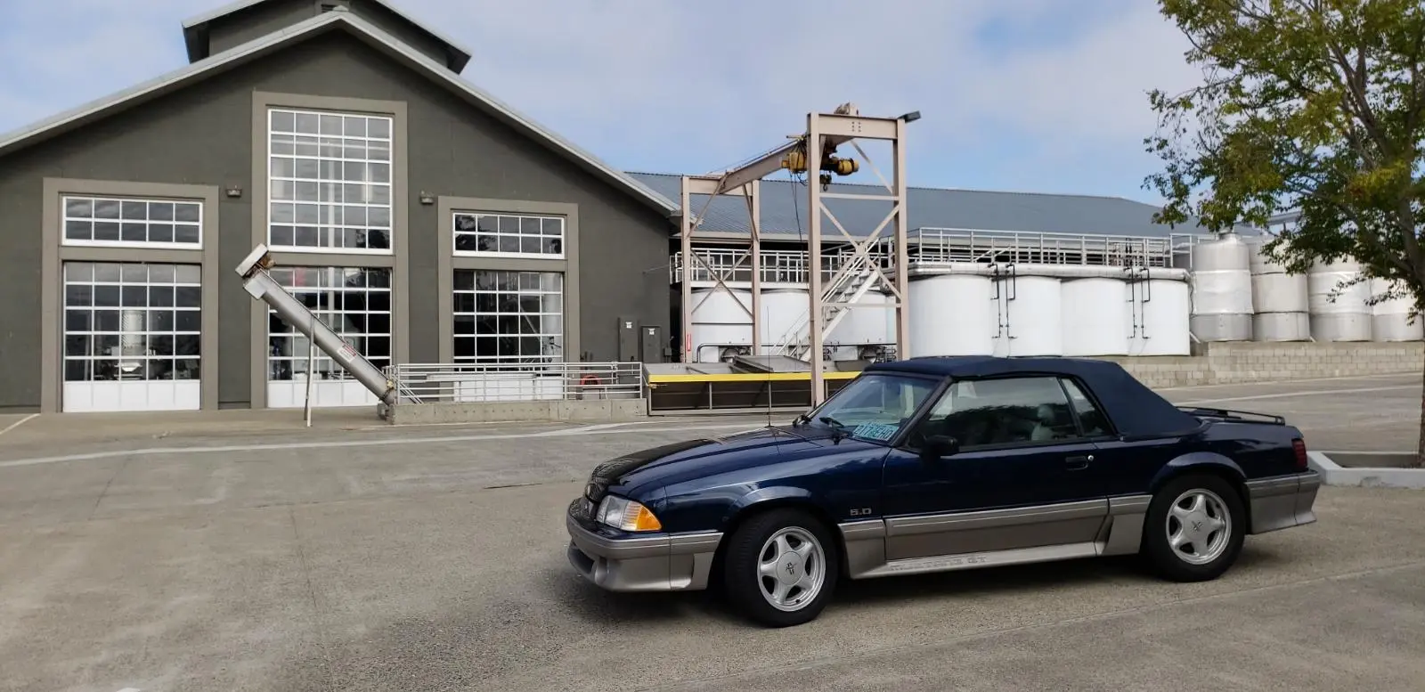 mustang.webp