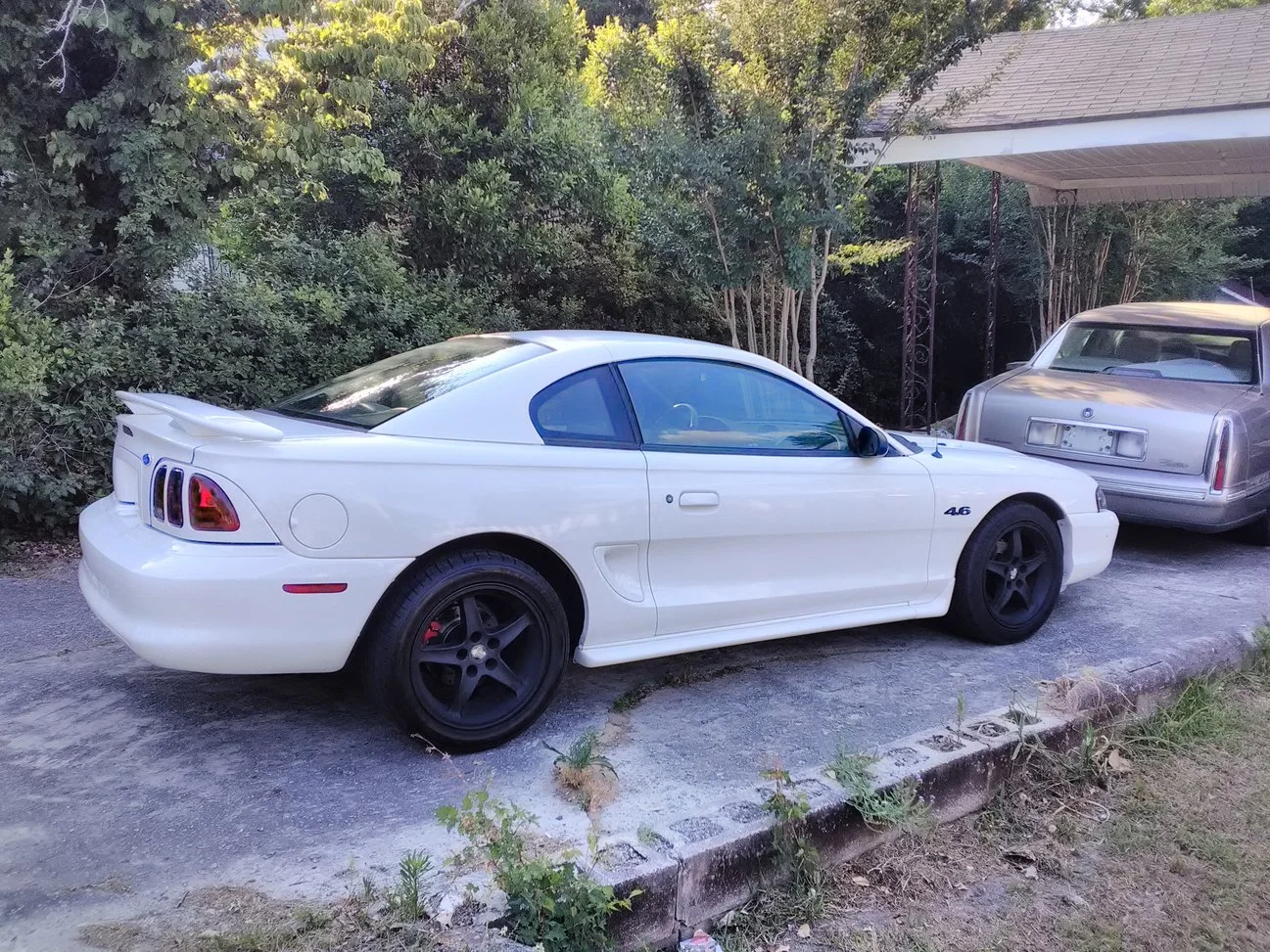 mustang.jpg