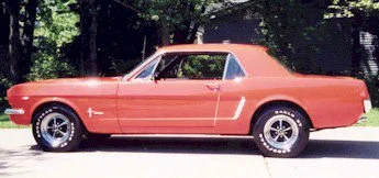 mustang.webp