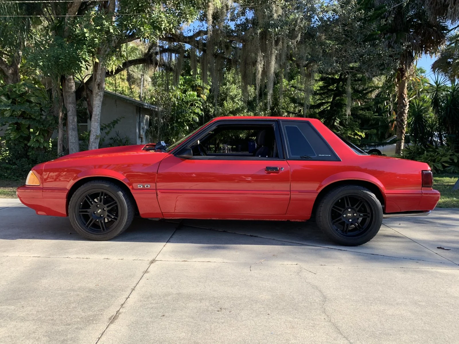 mustang.webp