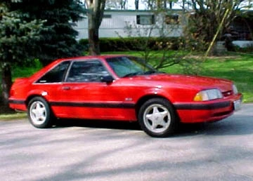 mustang.webp