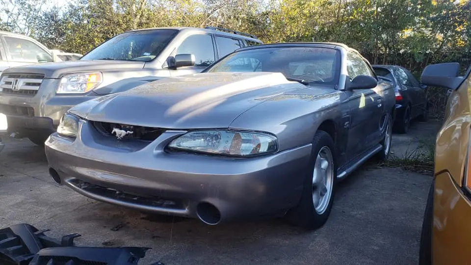 mustang.webp