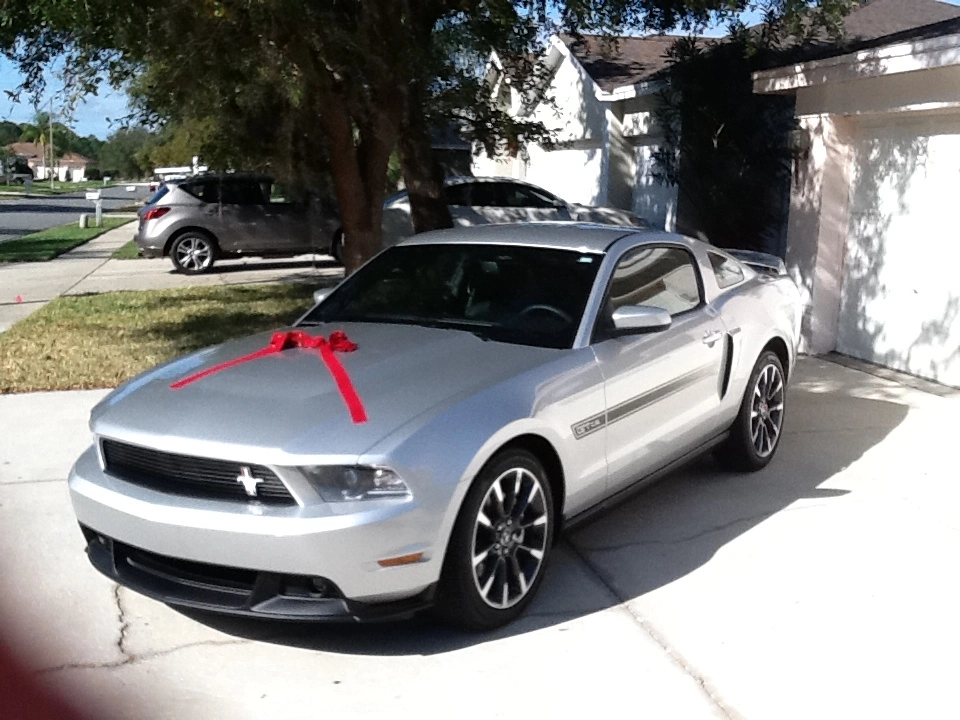 mustang.webp