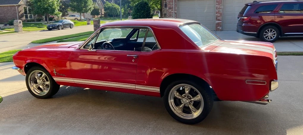 Mustang.webp