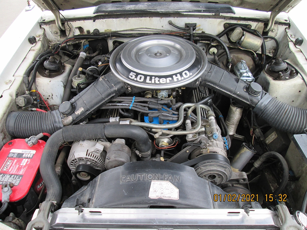 mustang.jpg