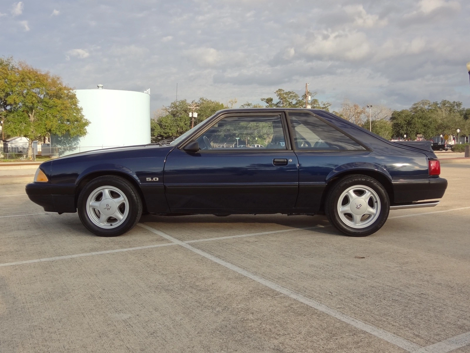 Mustang.webp