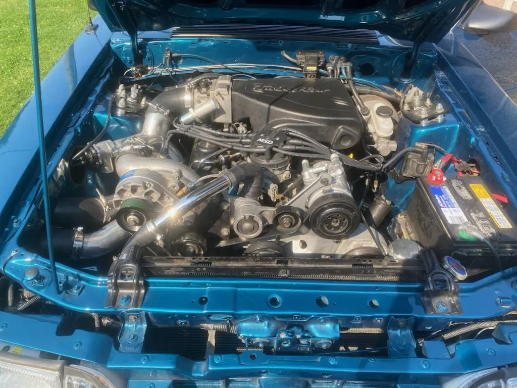 Mustang.webp