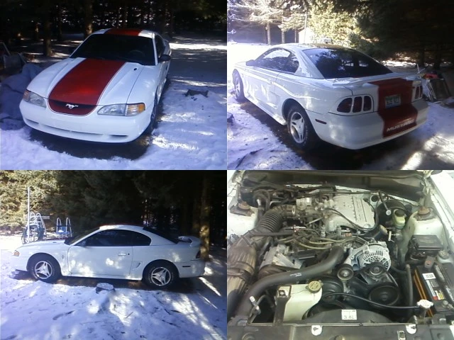 Mustang.webp