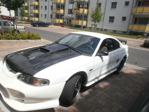 Mustang.webp
