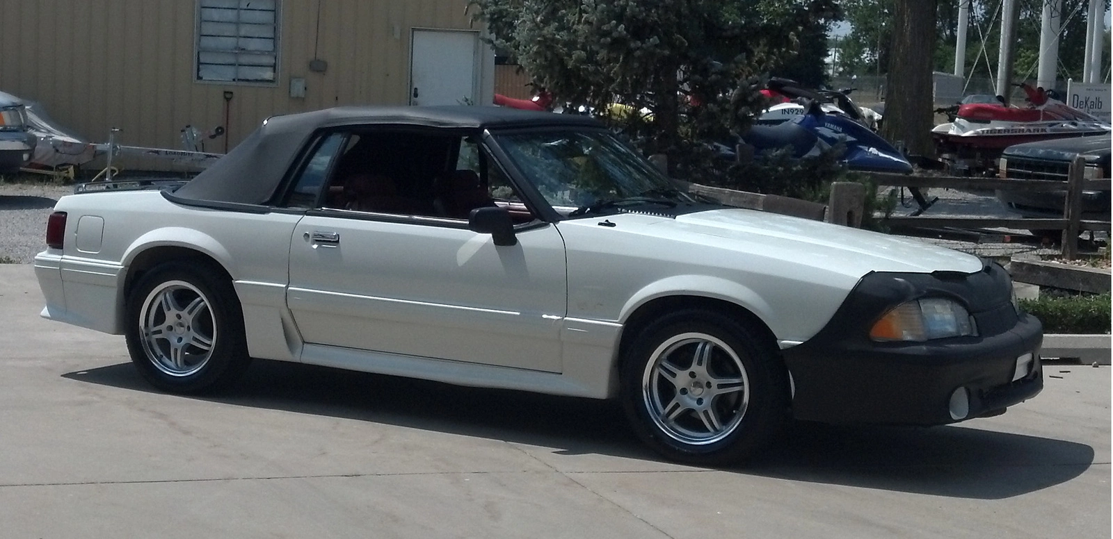 mustang.webp