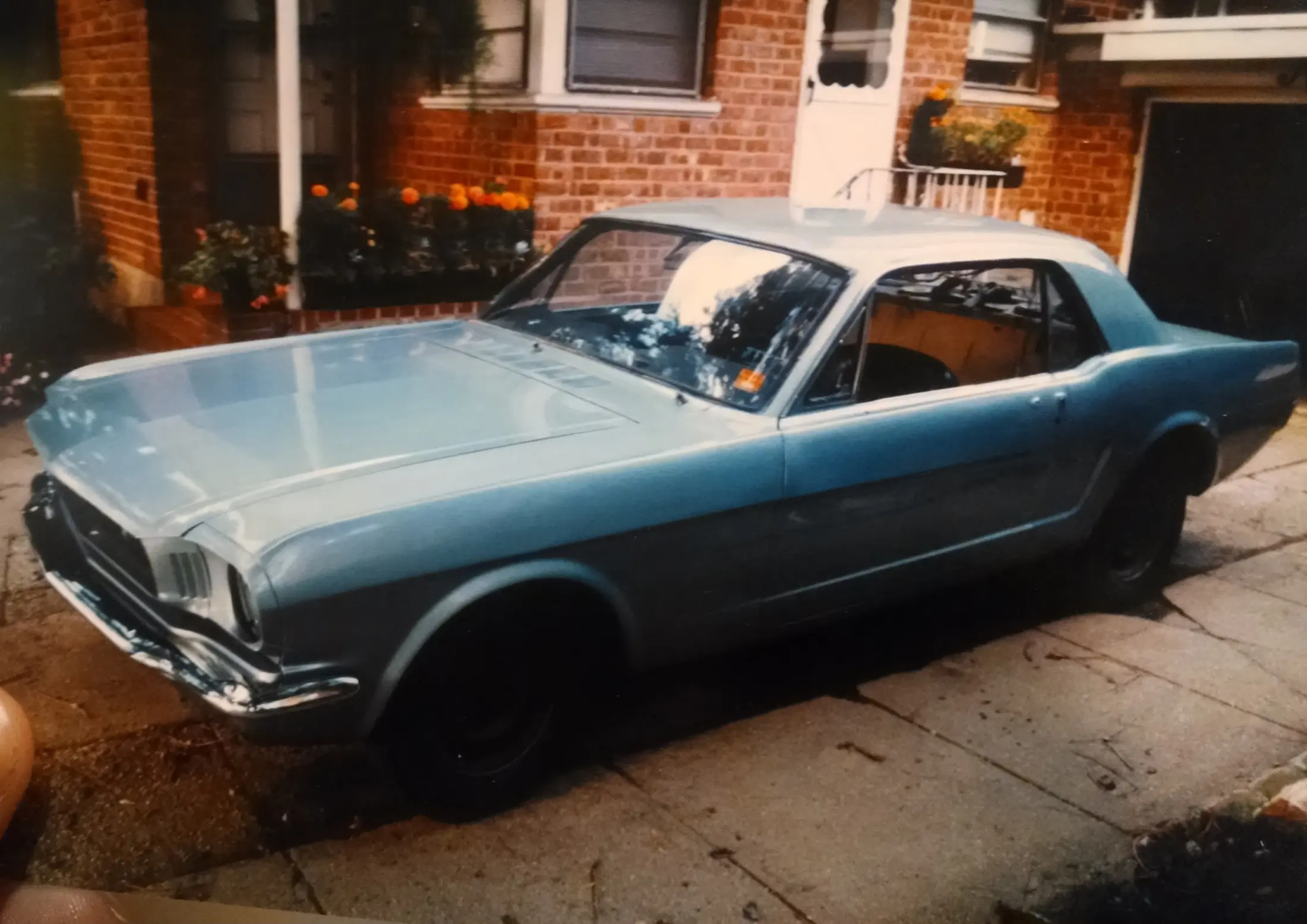 Mustang.webp