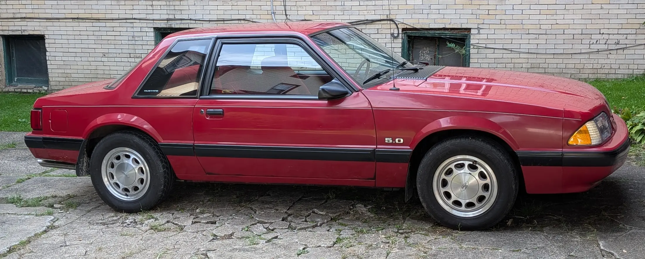 Mustang.webp