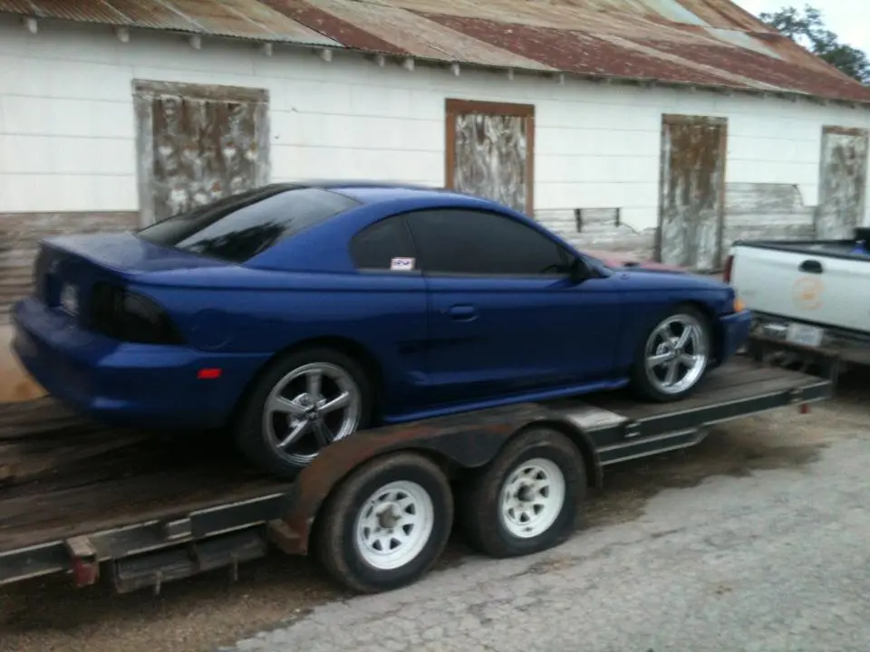 mustang.webp