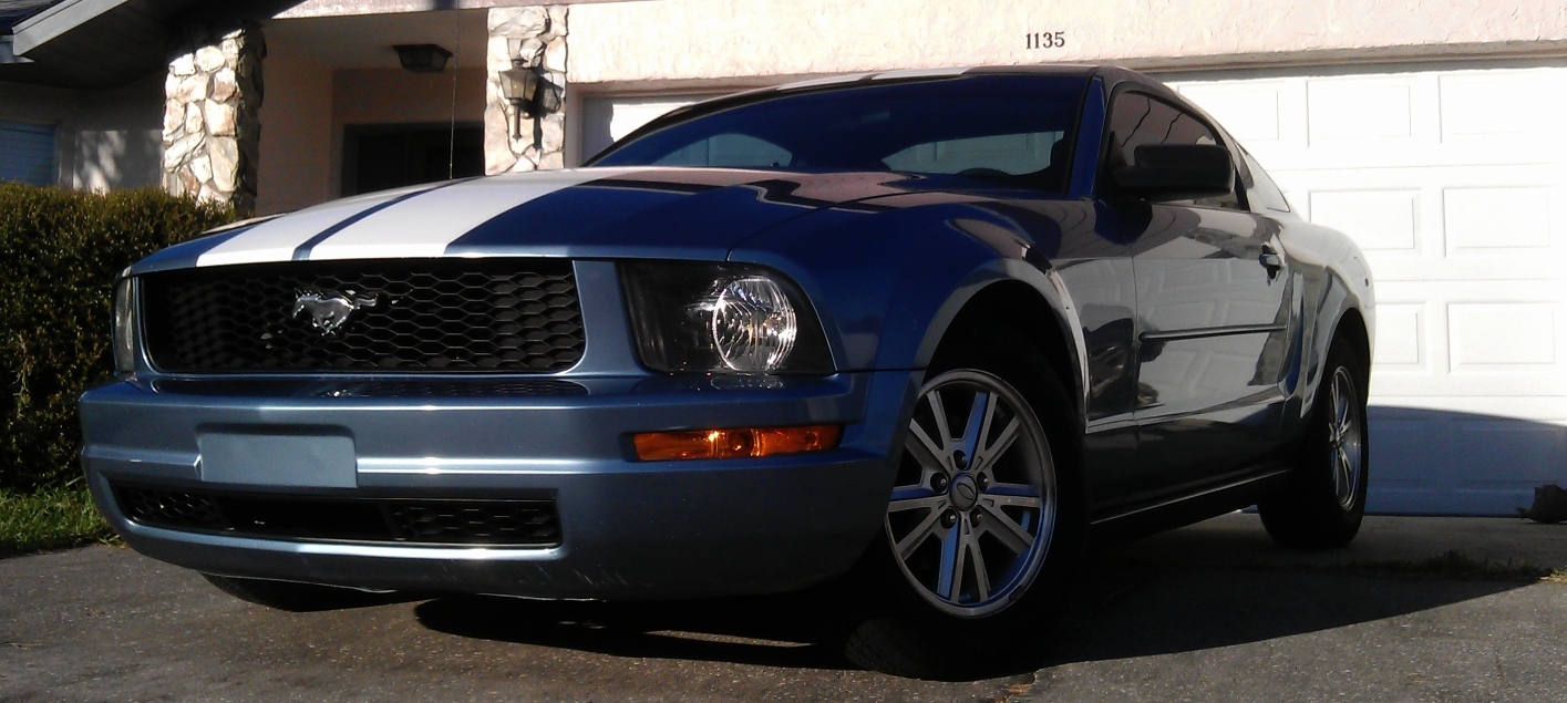 Mustang.webp