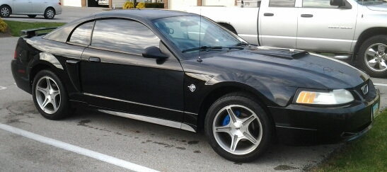 Mustang.webp