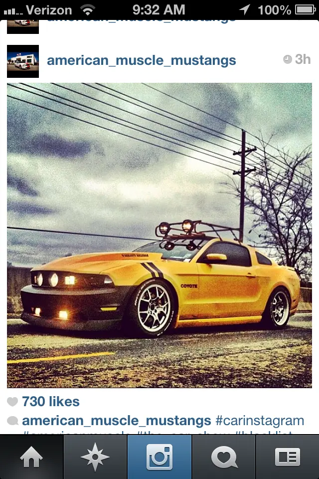 mustang.webp