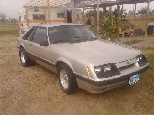 Mustang.webp