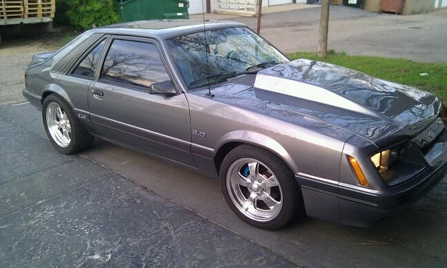 mustang.webp