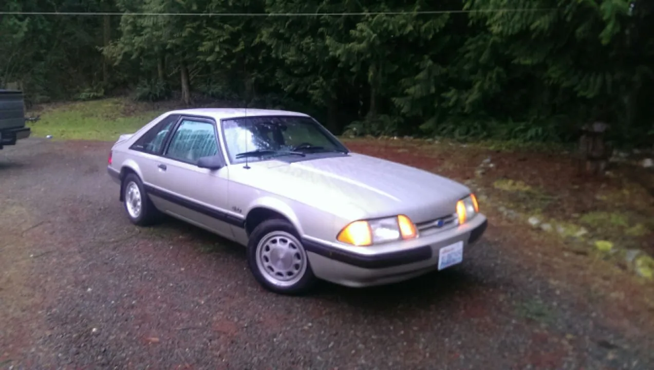 Mustang.webp