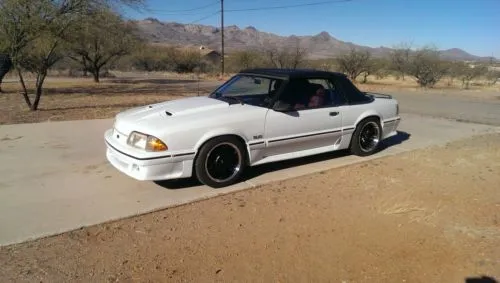 Mustang.webp