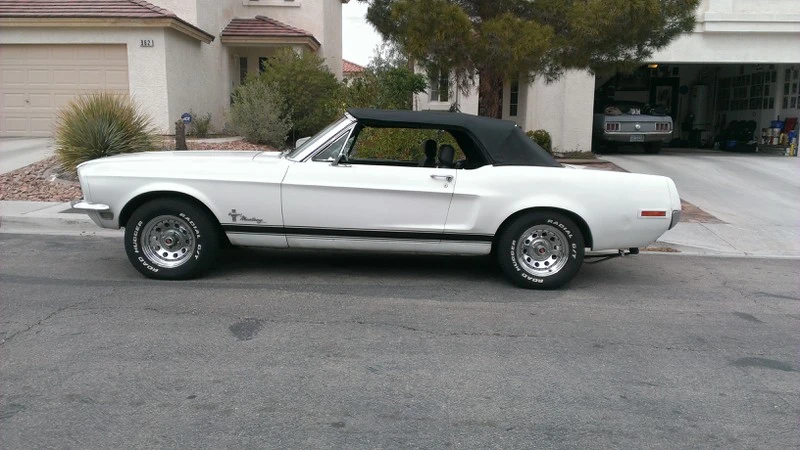 mustang.webp