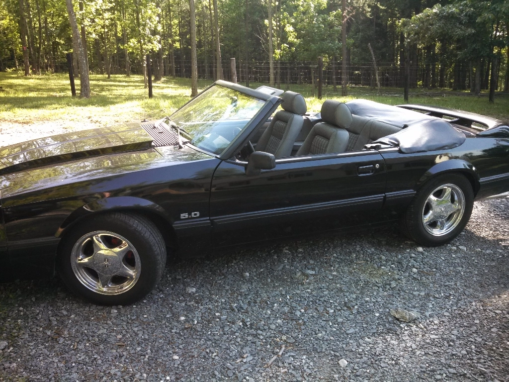 Mustang.webp