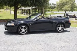 Mustang.webp
