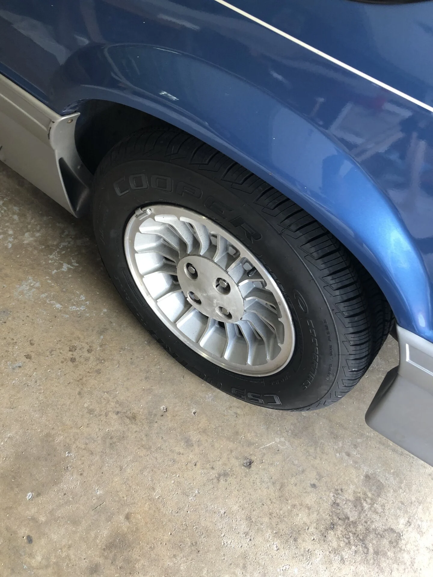 Mustang wheel.jpg
