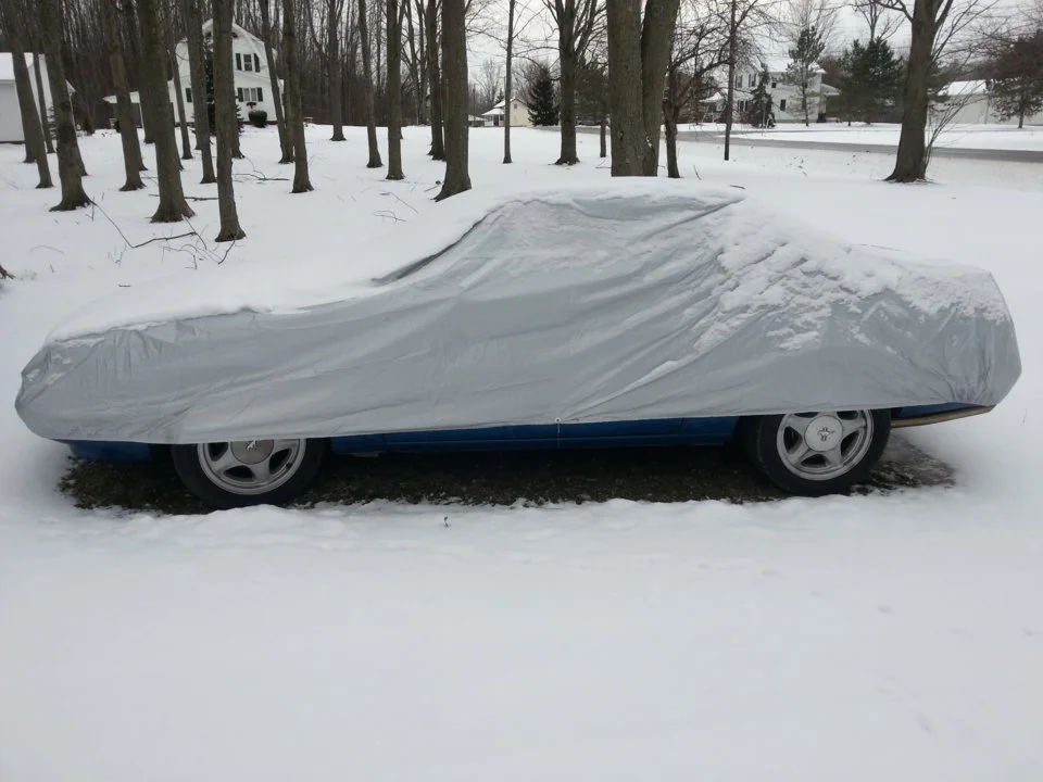 mustang winter.webp