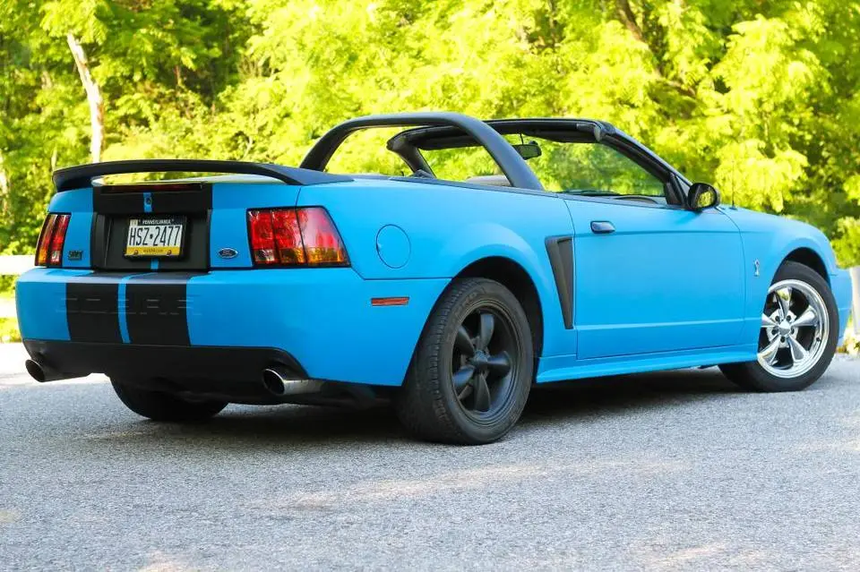 mustang001.webp