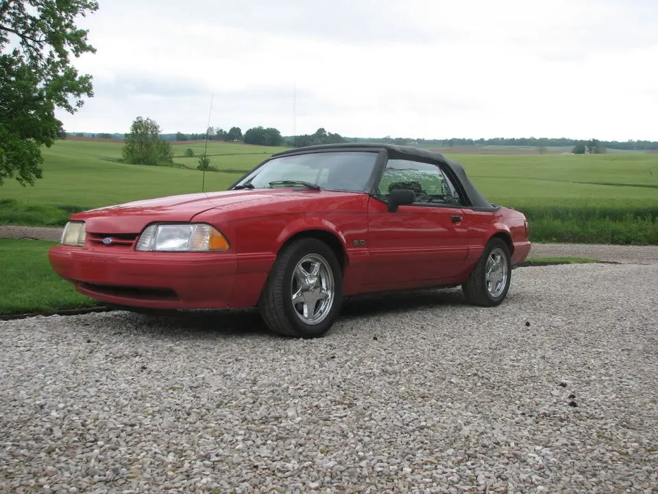 Mustang001.webp