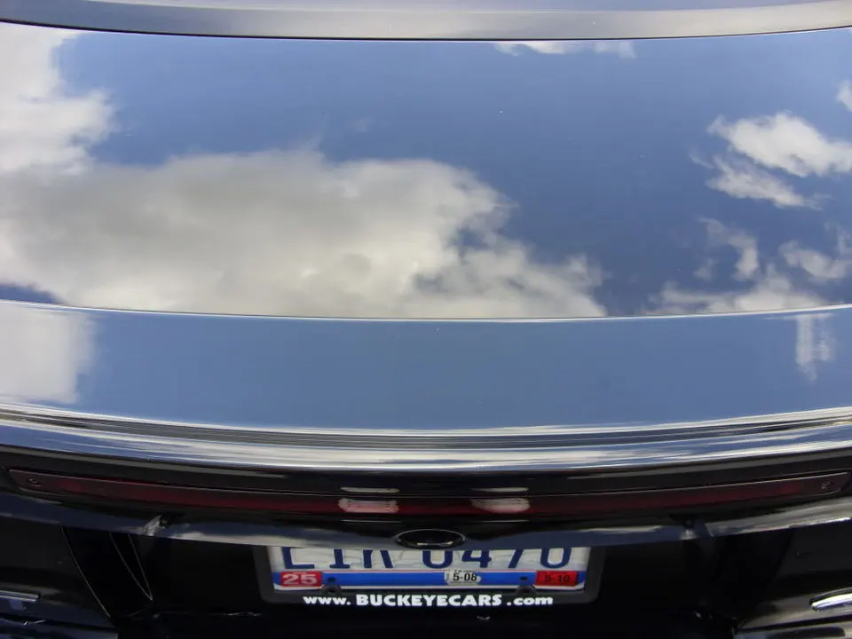 Mustang001.webp