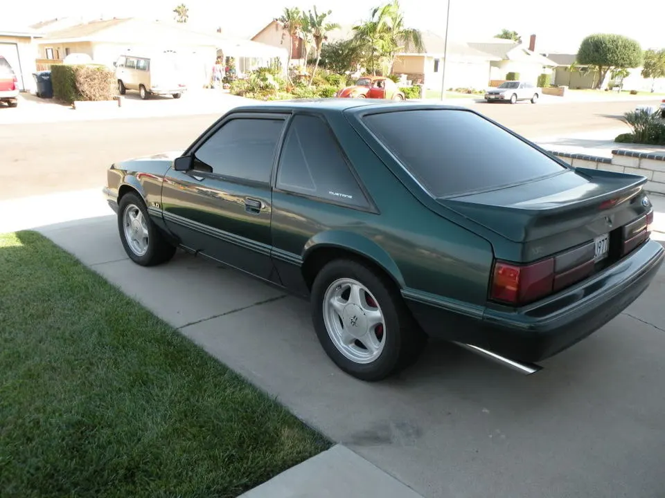 Mustang001.webp