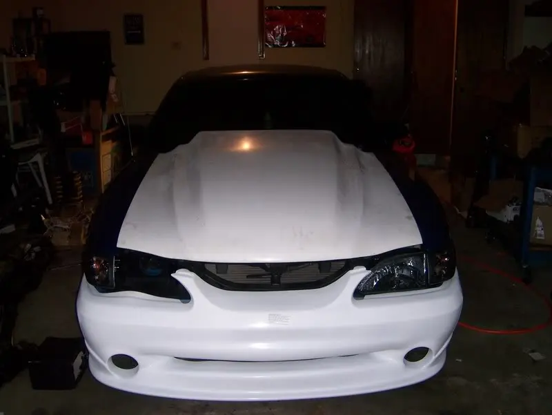 Mustang001.webp