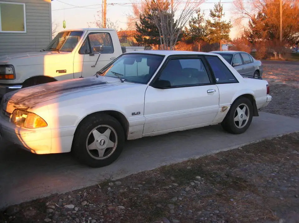 mustang001.webp