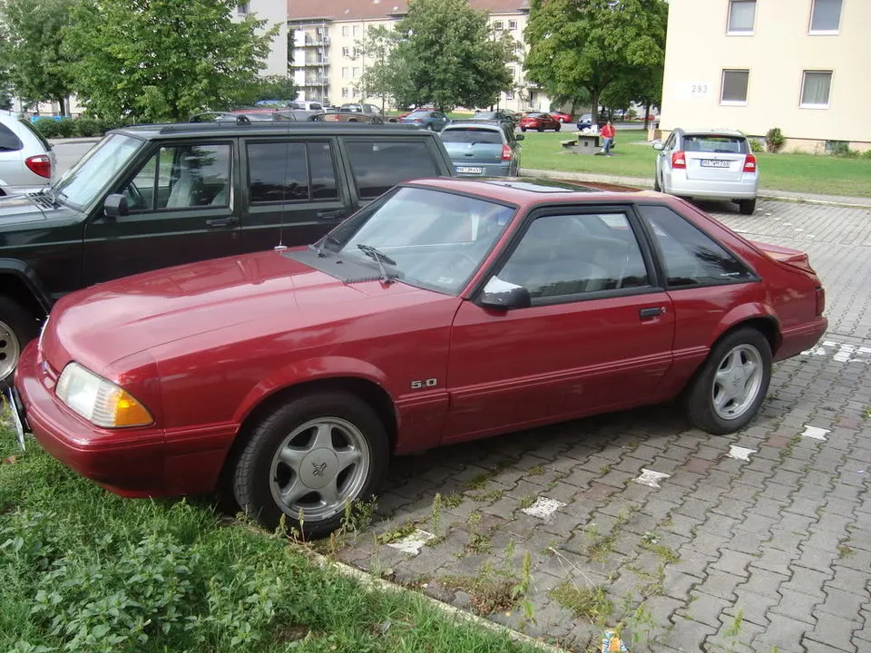 mustang001.webp