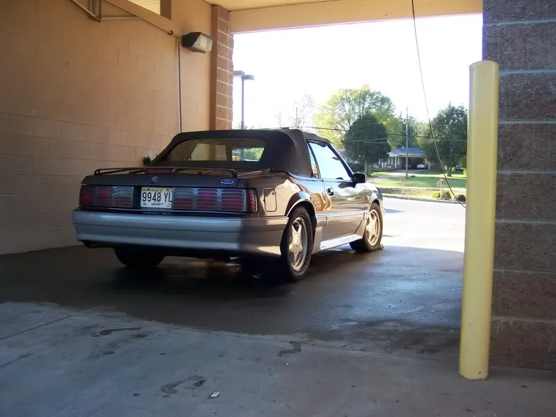 mustang001.webp