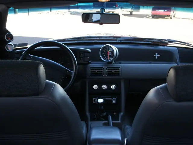 mustang001.webp