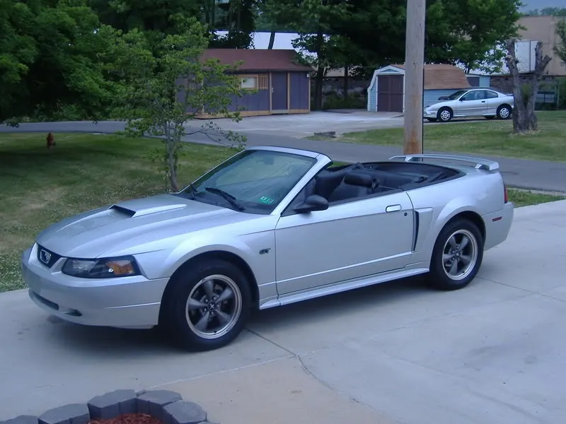 Mustang001.webp