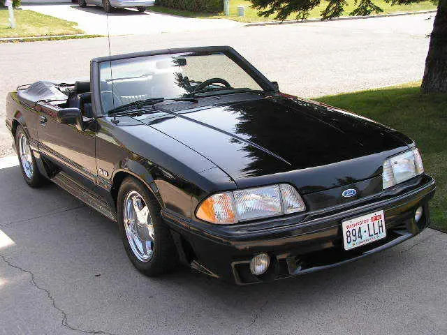 Mustang001.webp