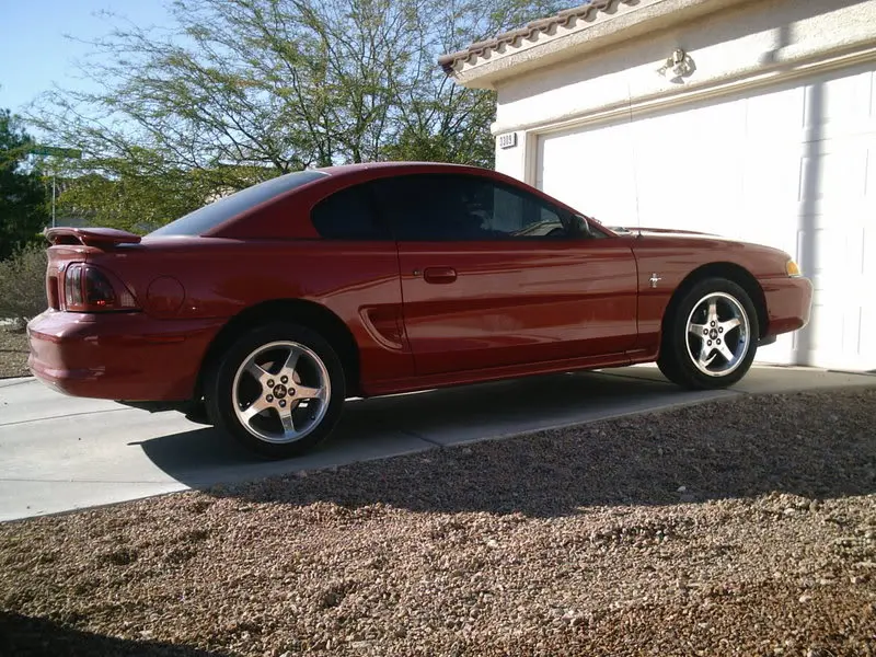 mustang001.webp