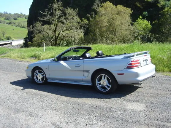 mustang001.webp