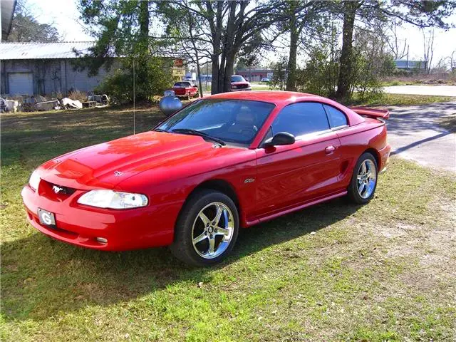 mustang001_Small.webp