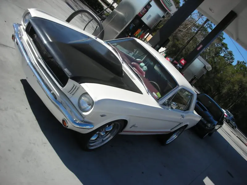 mustang002.webp