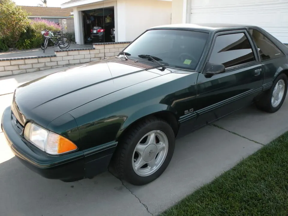 Mustang002.webp
